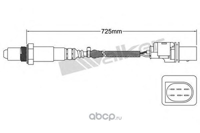 - (WALKER PRODUCTS) 80095004