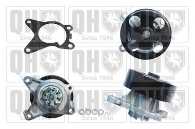 Водяной насос (QUINTON HAZELL) QCP3691 Водяной насос (QUINTON HAZELL) QCP3691