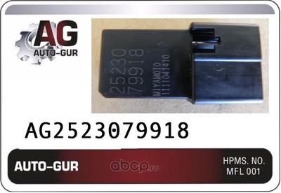  (Auto-GUR) AG2523079918