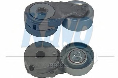 ,   (kavo parts) DTP6505