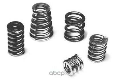 ,    (Arbori) 251026 ()