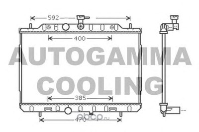  (AUTOGAMMA) 105265