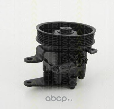  ,   (TRISCAN) 851514621