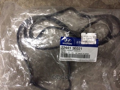   (Hyundai-KIA) 224413E021