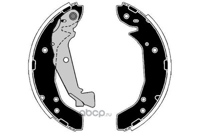 �������� ��������� ������� (RAICAM) RA29390