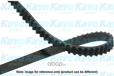   (Wilmink Group) WG1784067