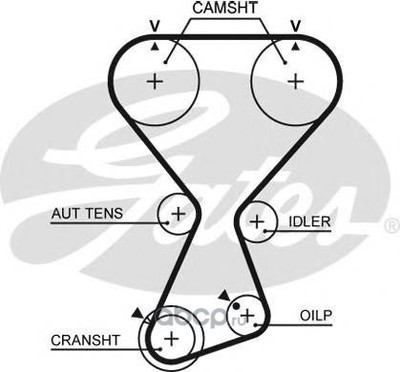�������� ������ ������� ��� (Gates) T313