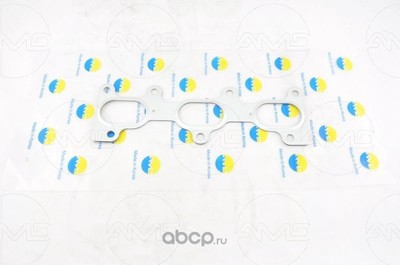 ������ (AMD) AMDGAS244