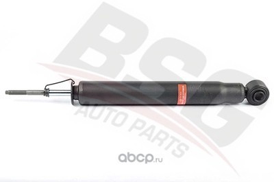 �����������- ������ ������ ����� (BSG) BSG40300029