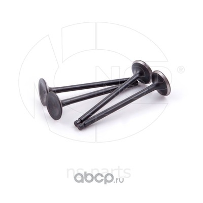    (NSP) NSP022221233000