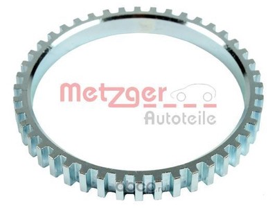     (METZGER) 0900160
