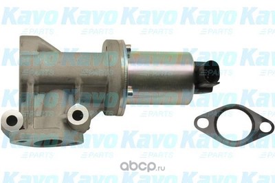    (kavo parts) EEG3002