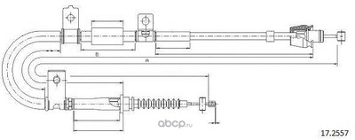 ���� (Cabor) 172557 (����)