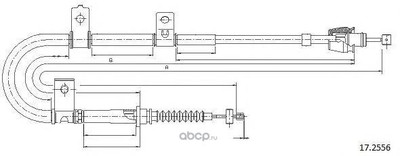 ���� (Cabor) 172556 (����)