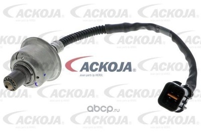 ������ ���� (ACKOJAP) A52760020