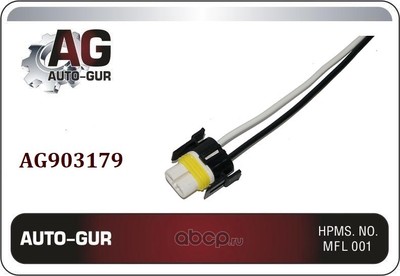    h8/11 ( ) (Auto-GUR) AG903179