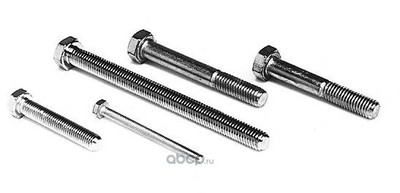 ���� ��������� (REIN) 258850