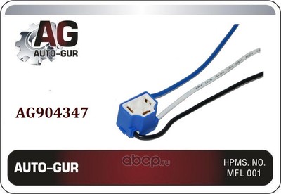    H4   (Auto-GUR) AG904347