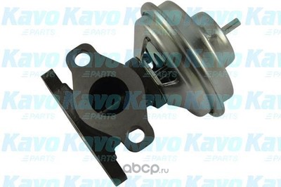    (kavo parts) EEG3004