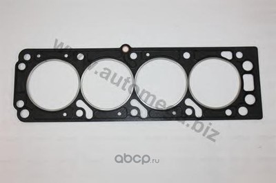 Прокладка, головка цилиндра (AUTOMEGA) 1006070986 Прокладка, головка цилиндра (AUTOMEGA) 1006070986
