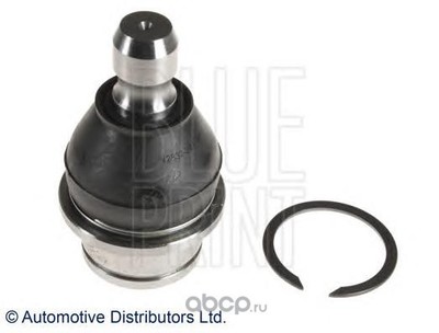  /   (Blue Print) ADN186113