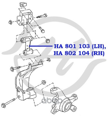 ����� �������� ��������, �������, ����� (Hanse) HA801103