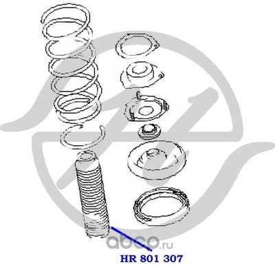     ,   (Hanse) HR801307