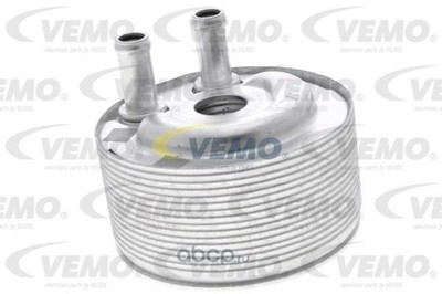  ,   (Vaico Vemo) V38600007