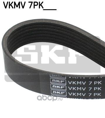   (Skf) VKMV7PK1750