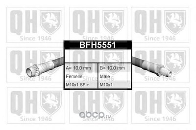   (QUINTON HAZELL) BFH5551