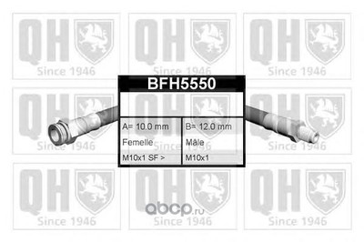   (QUINTON HAZELL) BFH5550