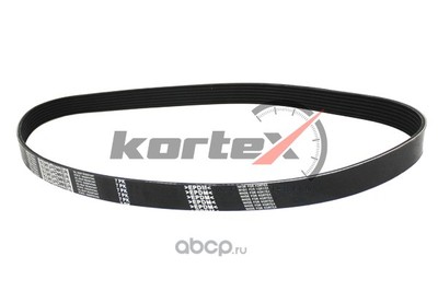   (KORTEX) KDB086