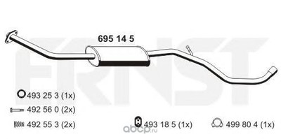     (ERNST) 695145