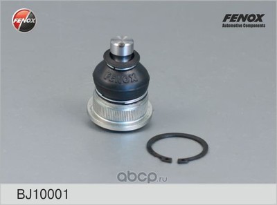  (FENOX) BJ10001