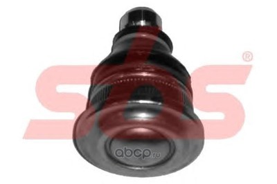 ������� / ������������ ������ (SBS) 19075042234