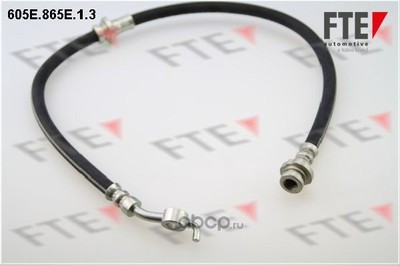   (FTE Automotive) 605E865E13