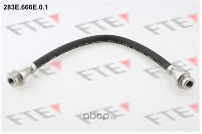   (FTE Automotive) 283E666E01