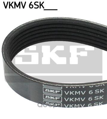   (Skf) VKMV6SK1019