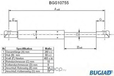  ,   (BUGIAD) BGS10755