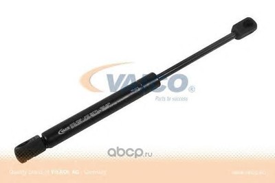  ,   (Vaico Vemo) V250414