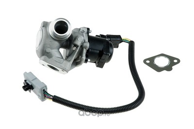  EGR (NTY) EGRFR005 ()