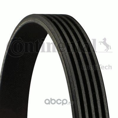   (Continental) 5PK698