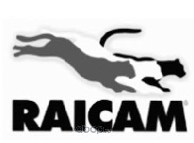   (RAICAM) RC90020