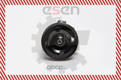 ,   (ESEN) 10SKV091