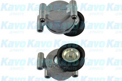  ,   (kavo parts) DTP4530