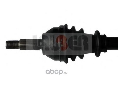 ��������� ��� (LAUBER) 881370 (����)