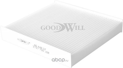   (Goodwill) AG448CF
