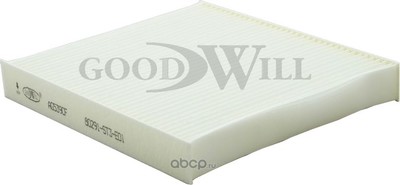   (Goodwill) AG5391CF