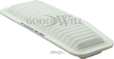   (Goodwill) AG304ECO