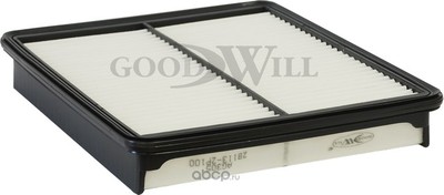   (Goodwill) AG3051